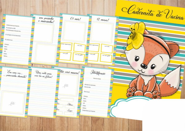 Pack 15 Cadernetas de Vacinas