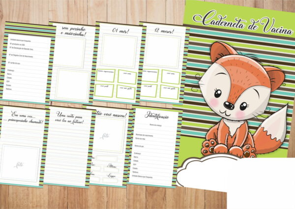 Pack 15 Cadernetas de Vacinas