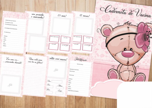 Pack 15 Cadernetas de Vacinas