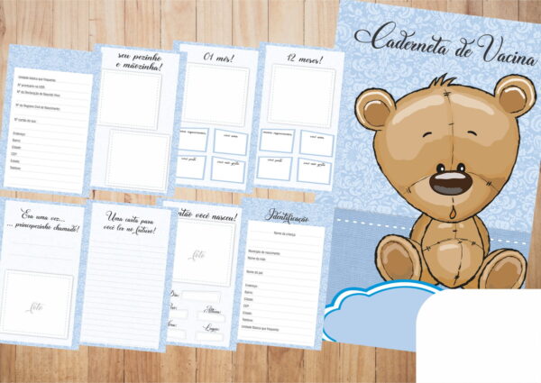 Pack 15 Cadernetas de Vacinas