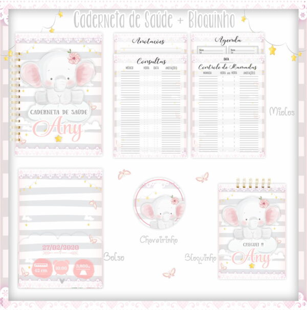 Pack Cadernetas de Saúde + Bloquinhos
