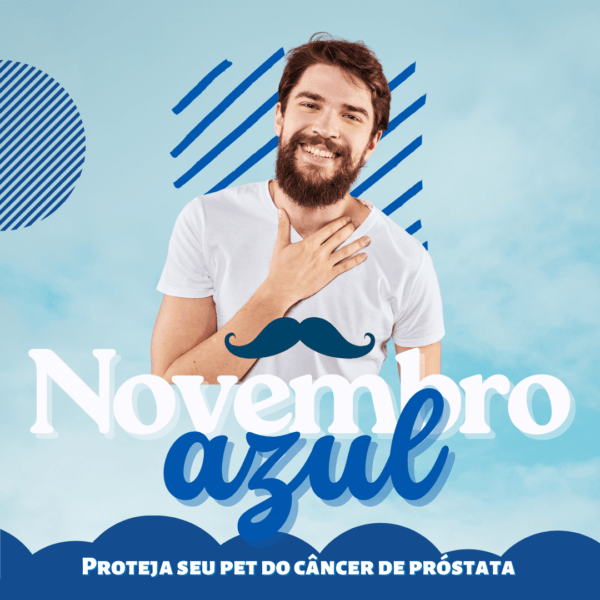 Pack Canva Novembro Azul Template Canva 30 Artes + Bônus