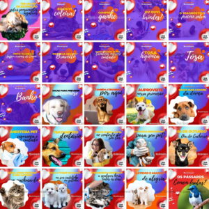 Pack Canva Pet Shop Petshop Template Canva 100 Artes + Bônus