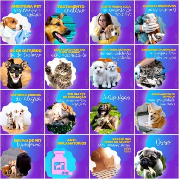 Pack Canva Pet Shop Template Canva 200 Artes + Legendas