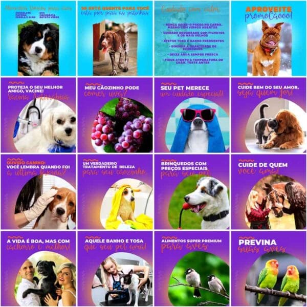 Pack Canva Pet Shop Template Canva 200 Artes + Legendas