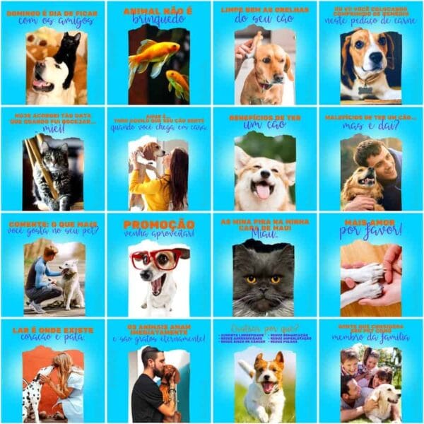Pack Canva Pet Shop Template Canva 200 Artes + Legendas