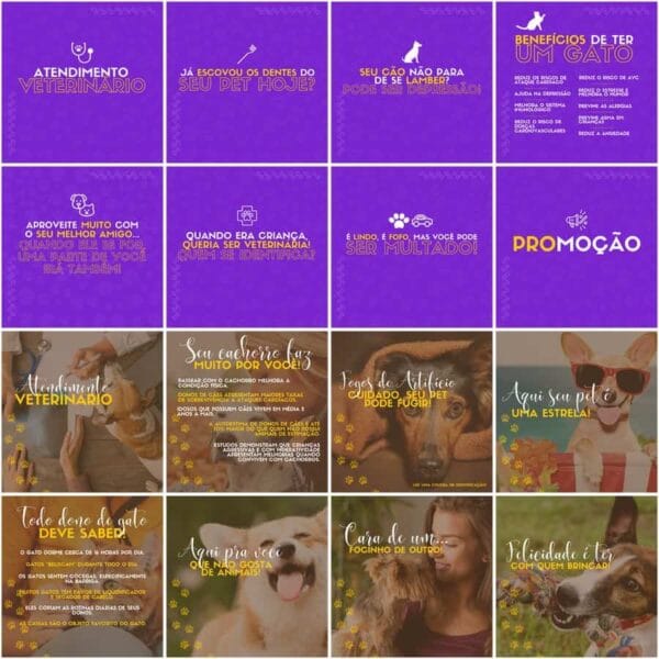 Pack Canva Pet Shop Template Canva 200 Artes + Legendas