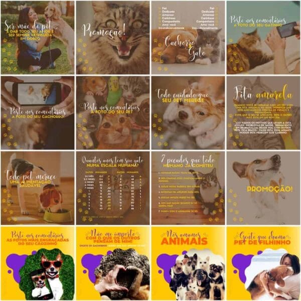 Pack Canva Pet Shop Template Canva 200 Artes + Legendas