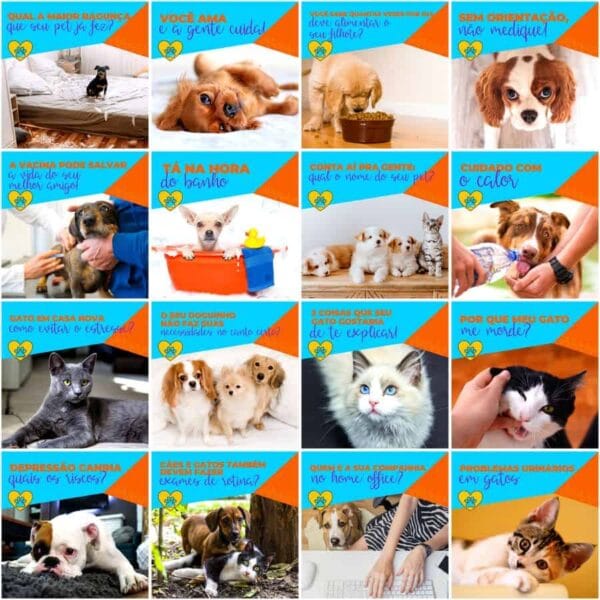 Pack Canva Pet Shop Template Canva 200 Artes + Legendas