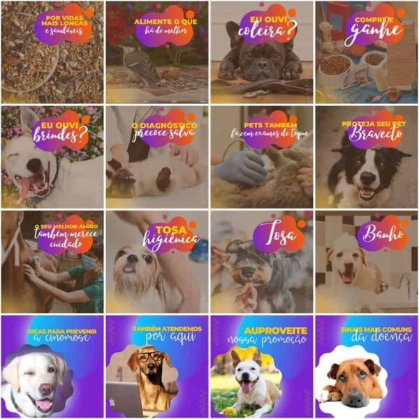 Pack Canva Pet Shop Template Canva 200 Artes + Legendas