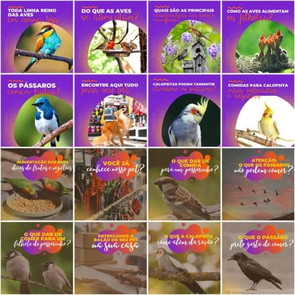 Pack Canva Pet Shop Template Canva 200 Artes + Legendas