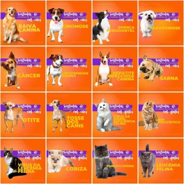 Pack Canva Pet Shop Template Canva 200 Artes + Legendas