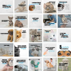 Pack Canva Veterinário Pet Shop Petshop 2.0 Template Canva 25 Artes + Bônus
