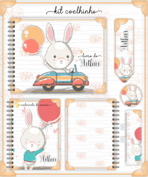 Pack Livro e Caderneta do Bebê