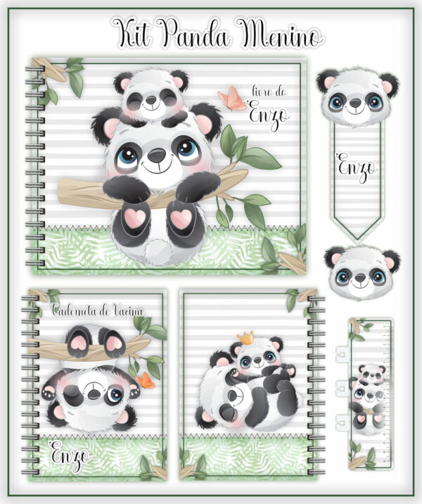 Pack Livro e Caderneta do Bebê