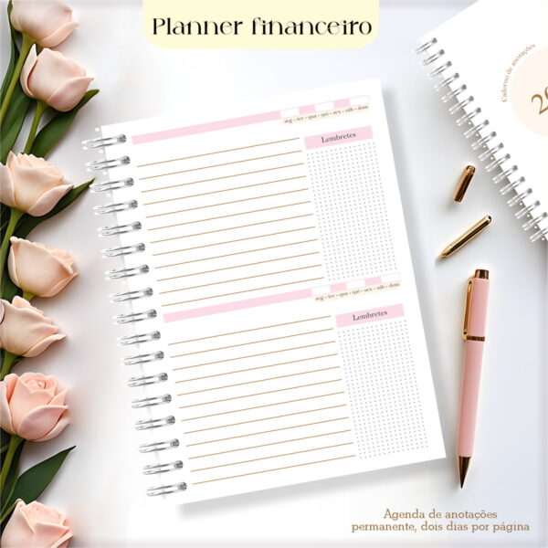 Planner Financeiro 2025 Feminino