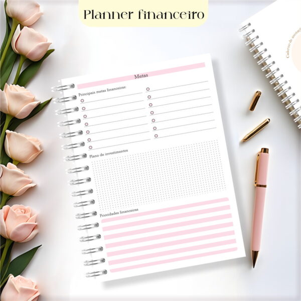Planner Financeiro 2025 Feminino