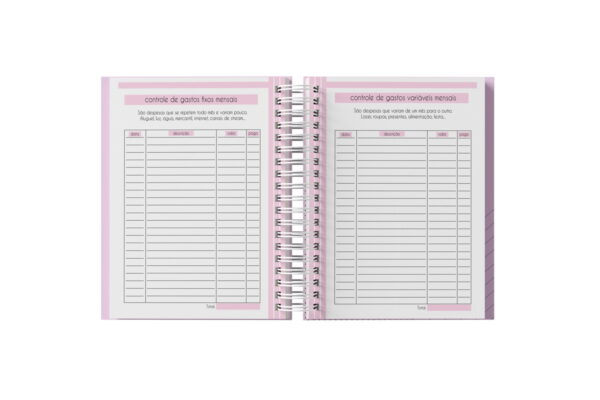 Planner Financeiro Feminino 2025