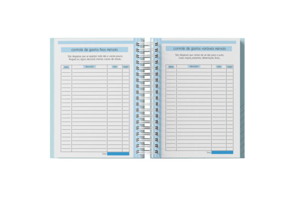 Planner Financeiro Feminino 2025