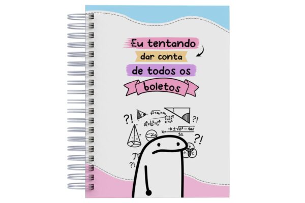 Planner Financeiro Feminino 2025