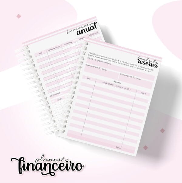 Planner Financeiro Pessoal Feminino