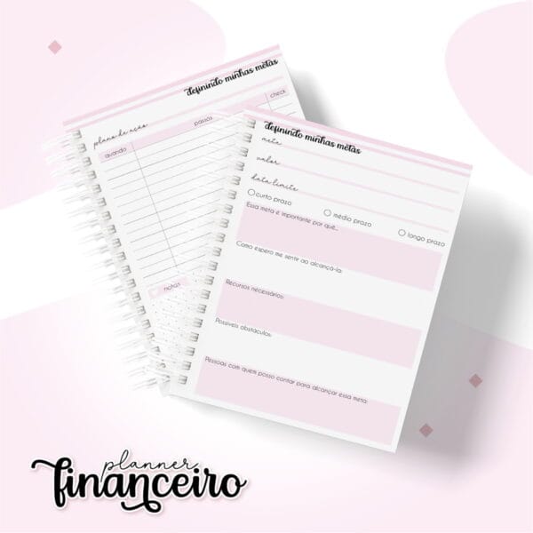 Planner Financeiro Pessoal Feminino