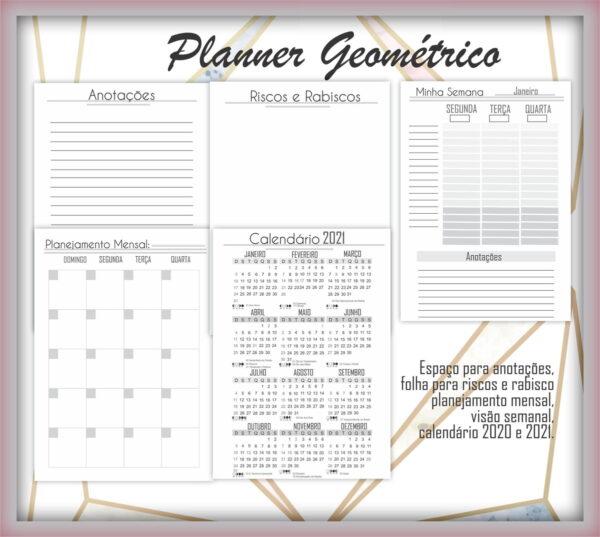 Planner Geométrico