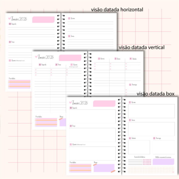 Planner Rose 2025 Feminino