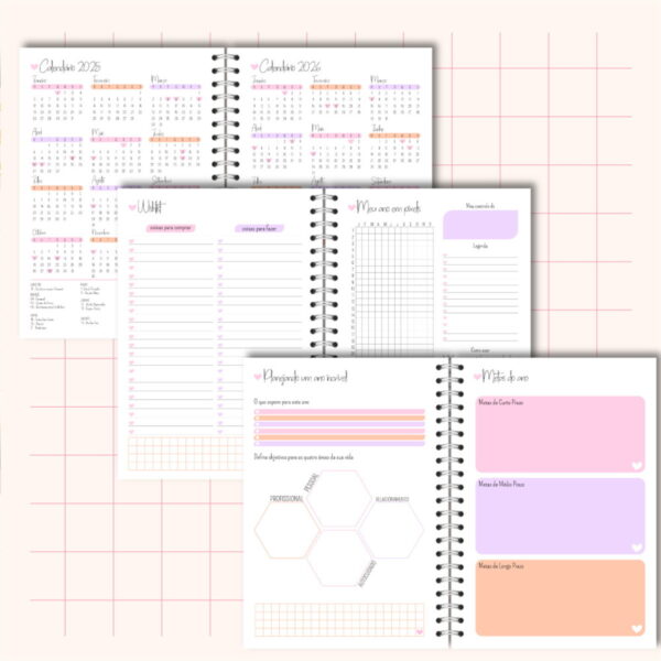 Planner Rose 2025 Feminino