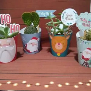 Quatro vasinhos de suculentas decorados com temas de natal sobre uma superfície amadeirada.